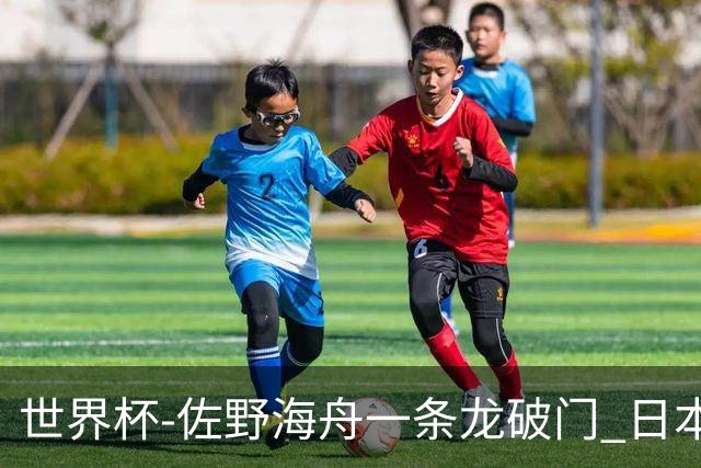 世界杯-佐野海舟一条龙破门 日本半场暂1-0领先巴西