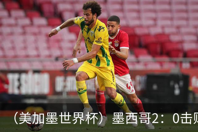 （美加墨世界杯）墨西哥2：0击败厄瓜多尔晋级16强